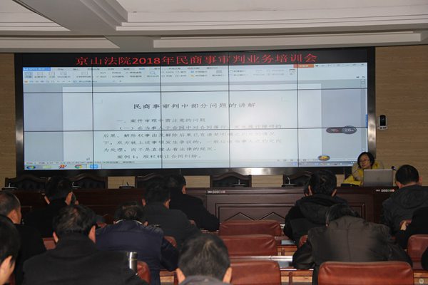 民商事审判工作业务培训会1.JPG